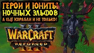 Как выглядят герои и юниты из кампании Ночных Эльфов в Warcraft 3 Reforged?