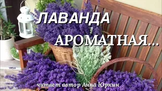 ЛАВАНДА АРОМАТНАЯ #христианский #стих (читает автор Анна Юркин@)