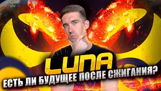 Terra Luna куда дальше? Почему Luna дорожает?