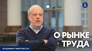 О рынке труда // Владимир Гимпельсон