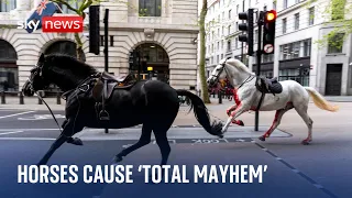 Household Cavalry horses cause 'total mayhem' after bolting through central London