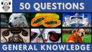 General Knowledge Quiz Trivia #59 | Wolf, Papaya, Riga City, Telephone, Cosmetics, Bulldog