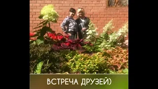 Встреча друзей-цветочниц у Ольги Сашиной 1.08.2019г