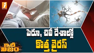 పెరూ, చిలీ దేశాల్లో కొత్త వైరస్ || Guillain Barre Syndrome || iDhi Nijam || iNews