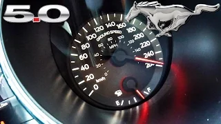 Ford Mustang GT 5.0 TOP SPEED & ACCELERATION by AutoTopNL