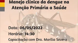 Manejo clínico da DENGUE na Atenção Primária à Saúde [capacitação]