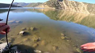 pyramid Lake Ca Trout fishing