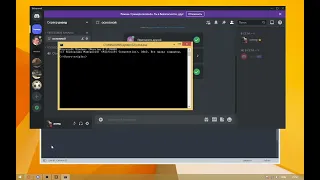 краш бот на питоне для дискорда|crash bot on python for discord