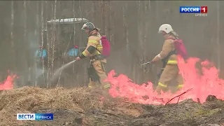 В Брянской области завершился срок действия особого противопожарного режима