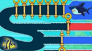 Save The Fish | Pull The Pin Update Level Save Fish Game Pull The Pin Android Game | Mobile Game