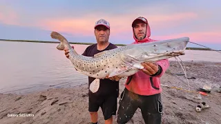 PESCAMOS UN SURUBI GIGANTE DE COSTA,CASI NOS LLEVA TODO,PESCA Y CAMPAMENTO EN LA ISLA-NICO REYNOSO