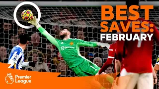 BEST Premier League Saves | De Gea, Foster, Sanchez & more | February