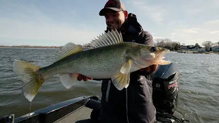 GIANT Pre Spawn Walleye on Green Bay - In Depth Outdoors TV S15 E18
