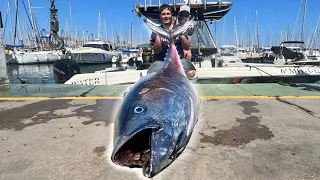 Angler fangen MONSTERFISCH in MITTELMEER! 🤯  (Catch,Clean,Cook)