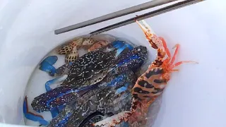 Super clean beach with colorful pebbles and a variety of seafood.