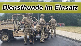 Schule für Diensthundewesen der Bundeswehr in Ulmen / Rheinland-Pfalz Tag der offenen Tür