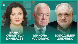 Окупанти і Вовчанськ. Путін під Сі. Віялові відключення І Климпуш-Цинцадзе, Маломуж, Цибулько