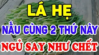 Tiết Lộ Đem Lá Hẹ Nấu Với Thứ Này Khỏi Ngay 10 Bệnh, Ngủ Ngon Sống Thọ ! | Triết Lý Tinh Hoa