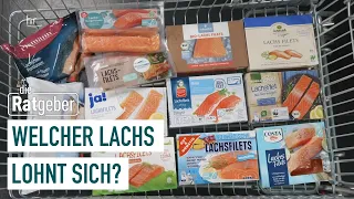 Fisch im Test – Lecker Lachs oder lieber nicht? | Die Ratgeber