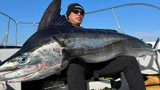 Giant Swordfish Catch | Amazing Fishing From Japan