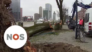 STORMVLOEDKERING: Storm raast over Nederland
