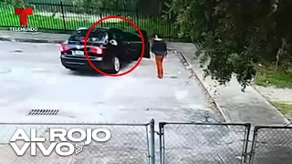 Mujer abandona a su perro en un parque de Florida y huye en un vehículo