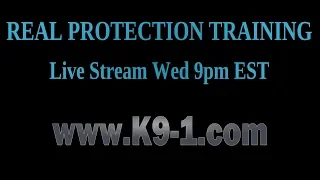 Learn How to Train Protection Dogs - Live Stream Classes (K9-1.com)