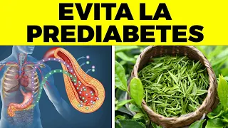 10 HÁBITOS para que NUNCA la Prediabetes se haga Diabetes