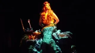 Voyage of the Little Mermaid Full Show