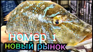 Морепродукты в Египте/ Цены в Хургаде на рынке и в ресторане/ Креветки крабы кальмары