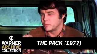 Preview Clip | The Pack | Warner Archive