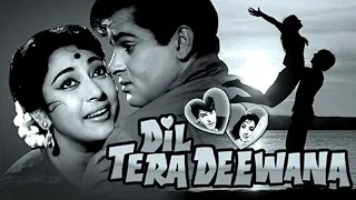 Dil Tera Deewana (1962) | Hindi Full Movie | Shammi Kapoor | Mala Sinha | Old Hindi Comedy Movie