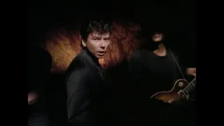 Jerry Harrison - Man With A Gun (Official Music Video)