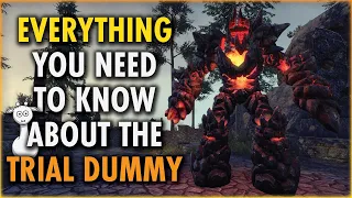 How to Increase Your DPS | A Full Guide to the Trial Dummy | Elder Scrolls Online