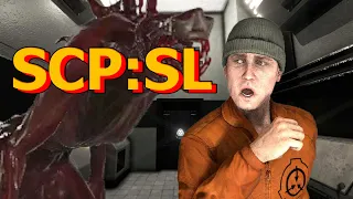 My First Mimicry Experience - SCP:SL