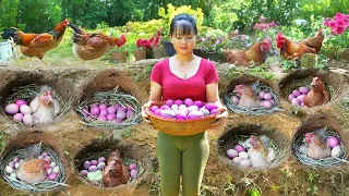 Harvest Chicken Eggs In Hole Goes to market sell & Build Hole For Hens To Lay Eggs | Tiểu Vân Daily