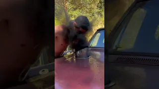 BLACK SMOKE PRANK (HE COUDNT SEE AFTER) #cummins #diesel