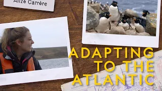 Modern Explorer | Episode 2 | Adapting to the Atlantic