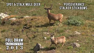 Spot & Stalk Mule Deer 'Perseverance' Full Draw Archives 2013