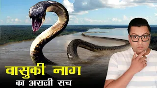 क्या है वासुकि नाग का रहस्य - Insane Discovery in India | World's Largest Snake Vasuki Indicus