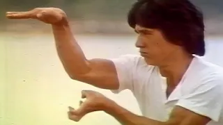 『スネーキーモンキー 蛇拳』 TV日本語吹き替え版　　ジャッキー・チェン