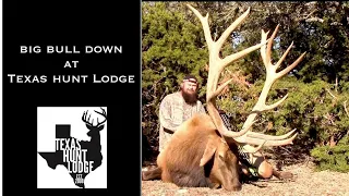 450"+ Bull Elk Archery Hunt at Texas Hunt Lodge