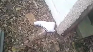 I DROPPED MY FUCKING SHOES!!!!😲😭😠😠😠