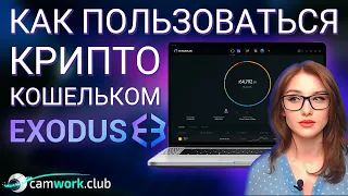 Использование кошелька EXODUS,  Вывод USDT TRC 20 в реальные деньги