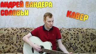 Андрей Бандера - Соловьи | кавер на гитаре