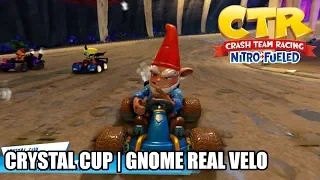 Crash Team Racing Nitro-Fueled - Crystal Cup | Gnome Real Velo [Nintendo Switch]