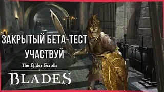 Bethesda приглашает на тестирование The Elder Scrolls: Blades