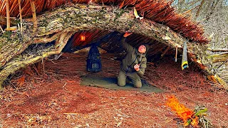 Building a Reed Shelter Waterproof | Bushcraft in the Secret Place Warm and Cozy Construction House