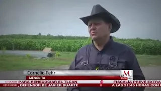 Mennonites sur mexico