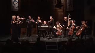 Tafelmusik performs J.S. Bach's Brandenburg Concerto No 3 (1st & 2nd movement)